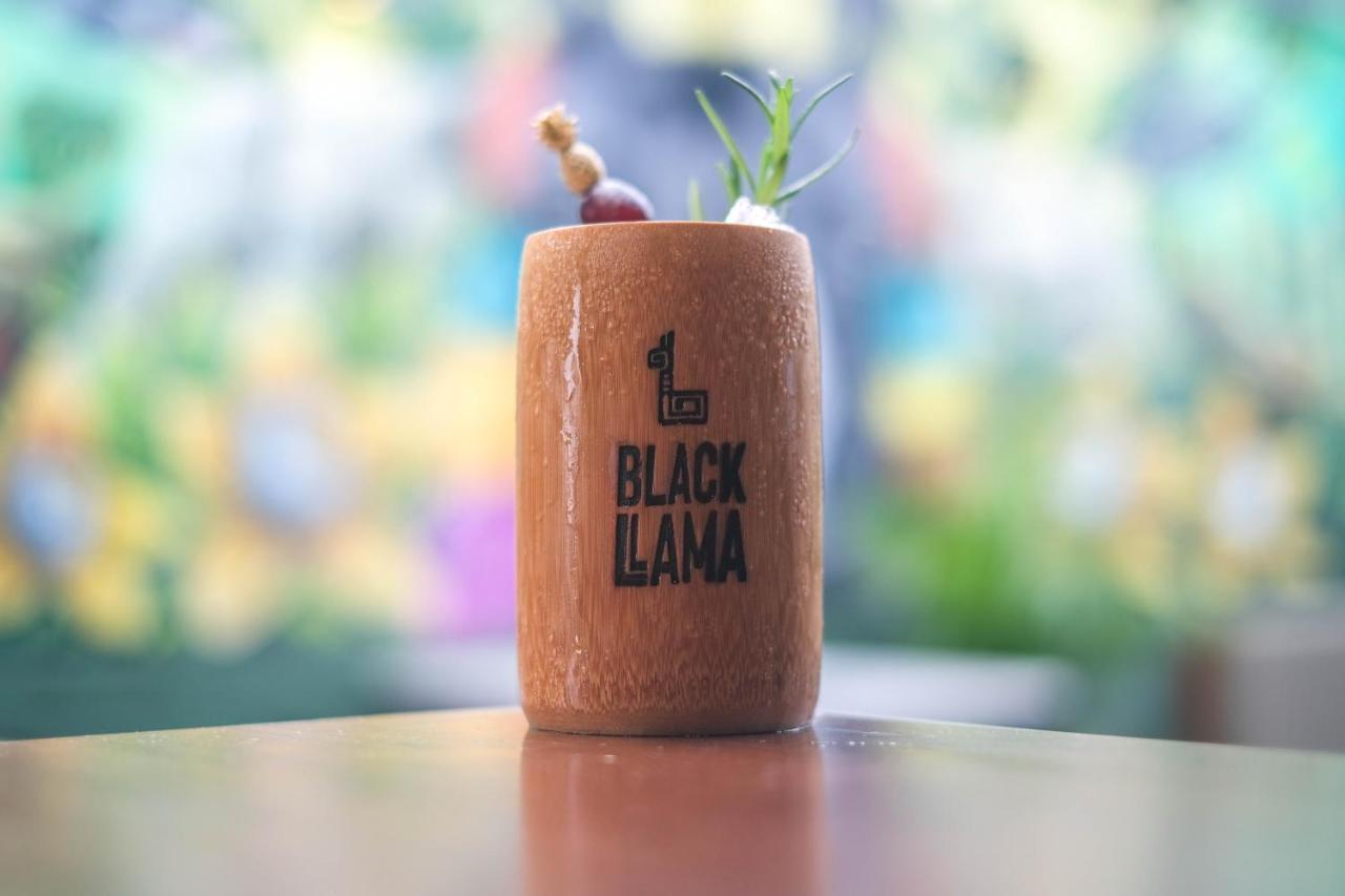 Black Llama Hostel Lima Dış mekan fotoğraf