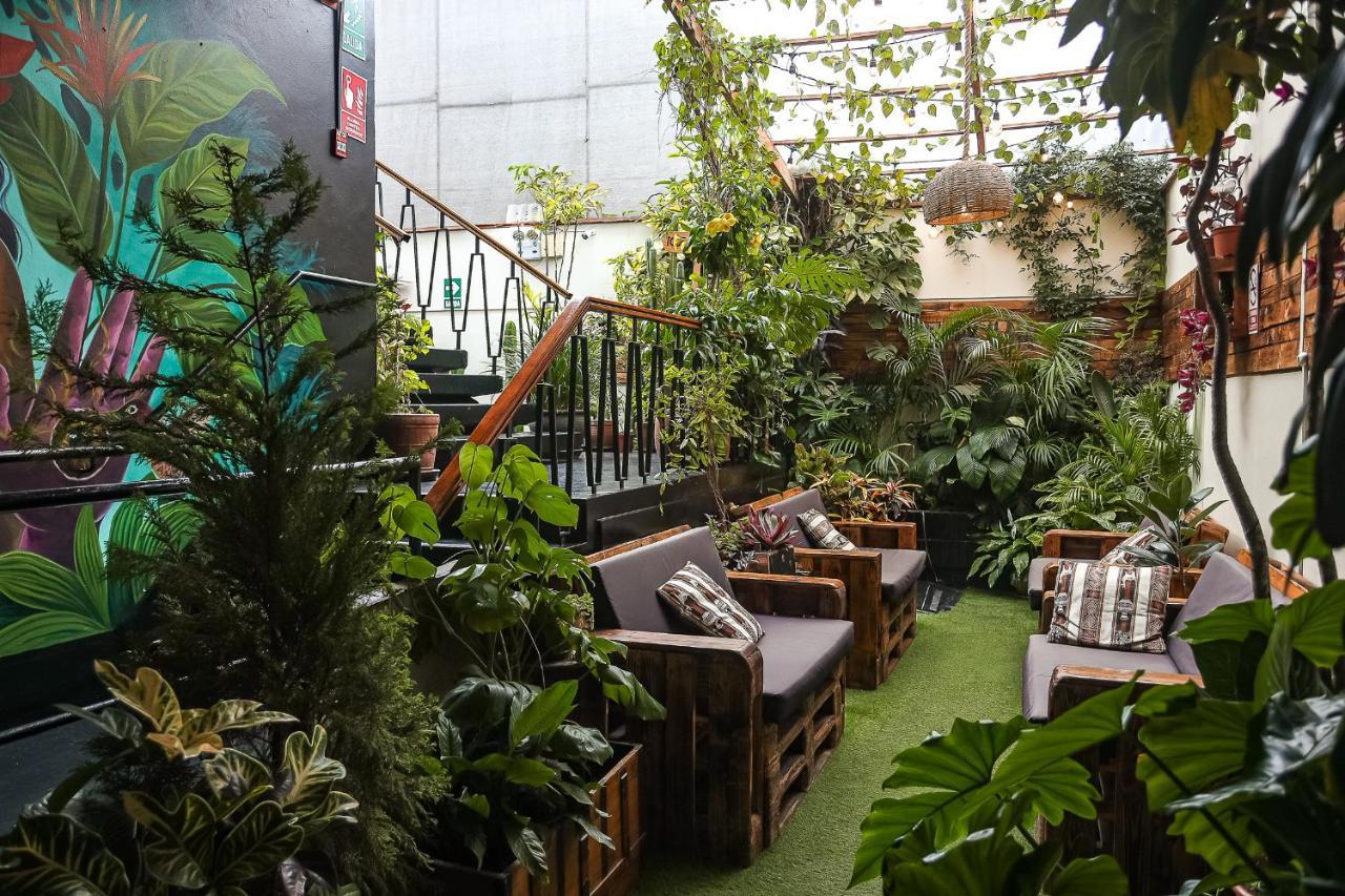 Black Llama Hostel Lima Dış mekan fotoğraf
